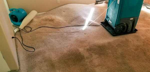 Cost of Flood Damage Cleanup in Glen Burnie