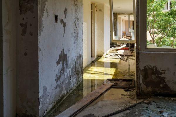 Cost of Water Removal Service in Glen Burnie