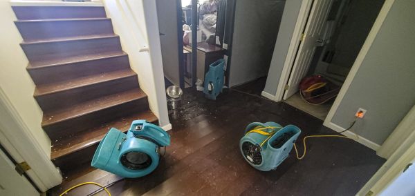 Cost of Water Damage Remediation in Glen Burnie