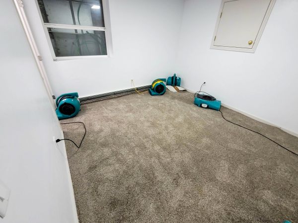 Cost of Flood Restoration Service in Glen Burnie
