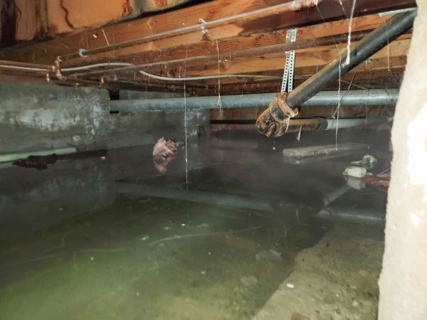 Cost of Crawl Space Drying in Glen Burnie